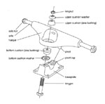 klikni zde pro detailní náhled anatomie...