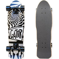 VISION Cruiser Skateboard