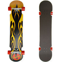 Vision Longboard